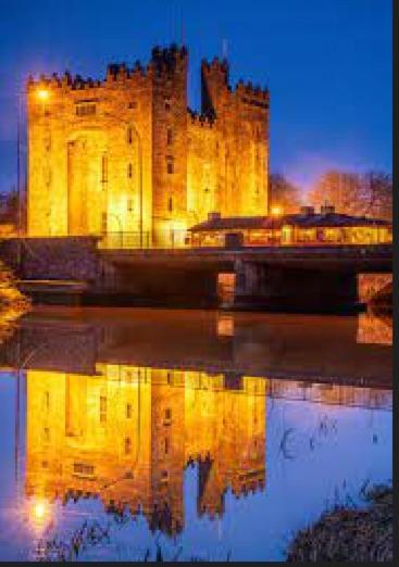 Villa Bunratty Castle Gardens Esterno foto